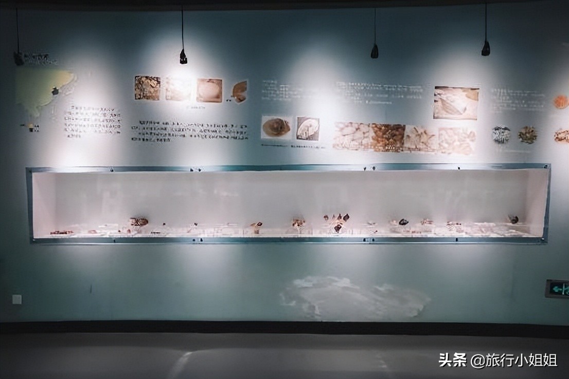 夏日海边浪漫迷人,滨城风光秀丽浪漫气息爆表