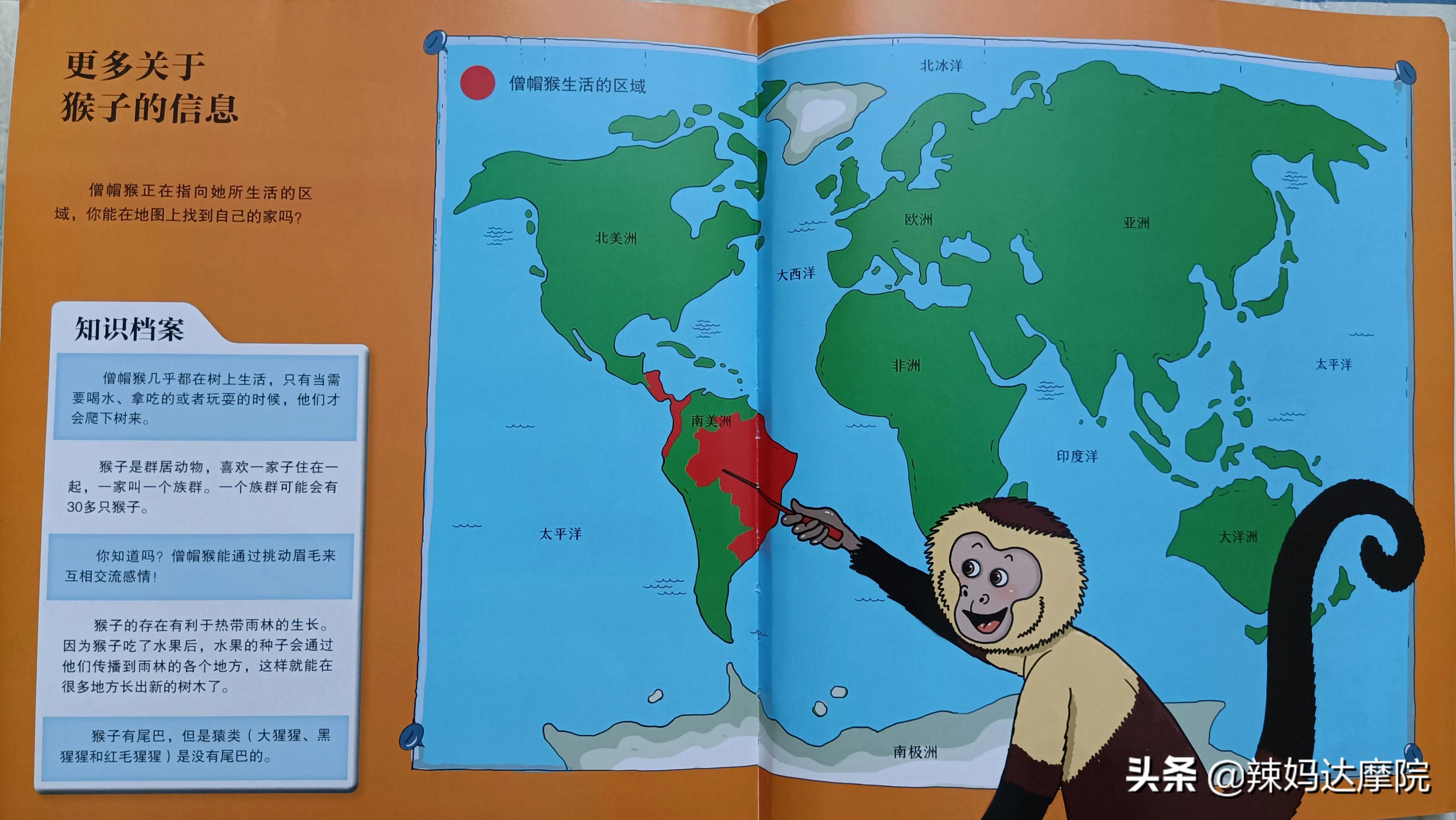 动物妙想国绘本有哪些动物,动物妙想国绘本英文版