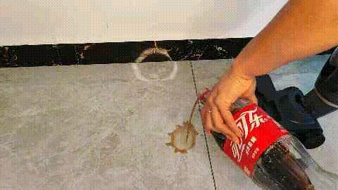 蓝宝全自动洗地机,德国蓝宝除菌洗地机