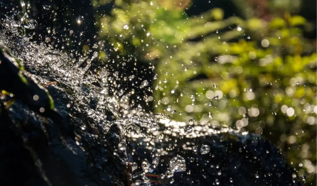 7月新品透视｜两大“亿级爆款”热门赛道，现在进场还来得及吗？