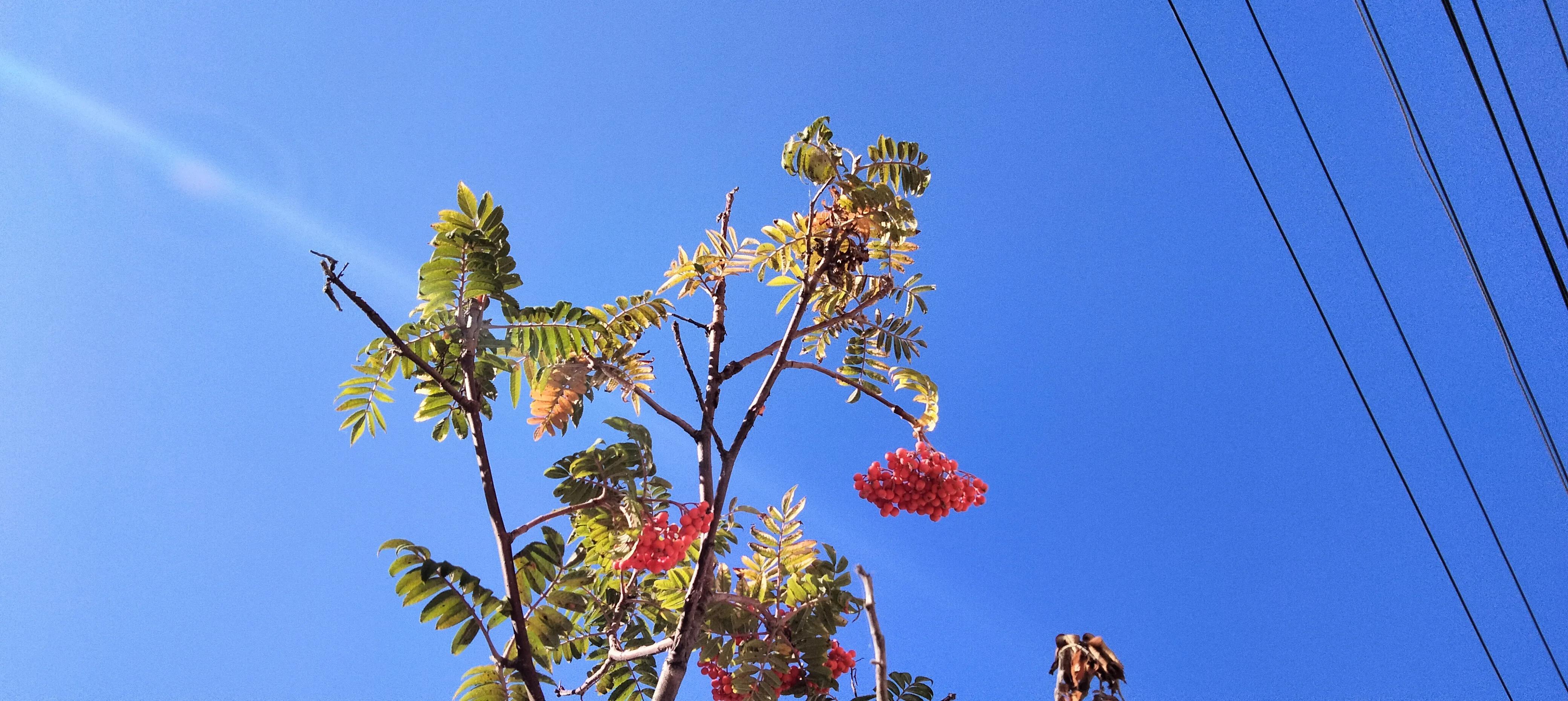 亲友群名片背景,家庭群名片