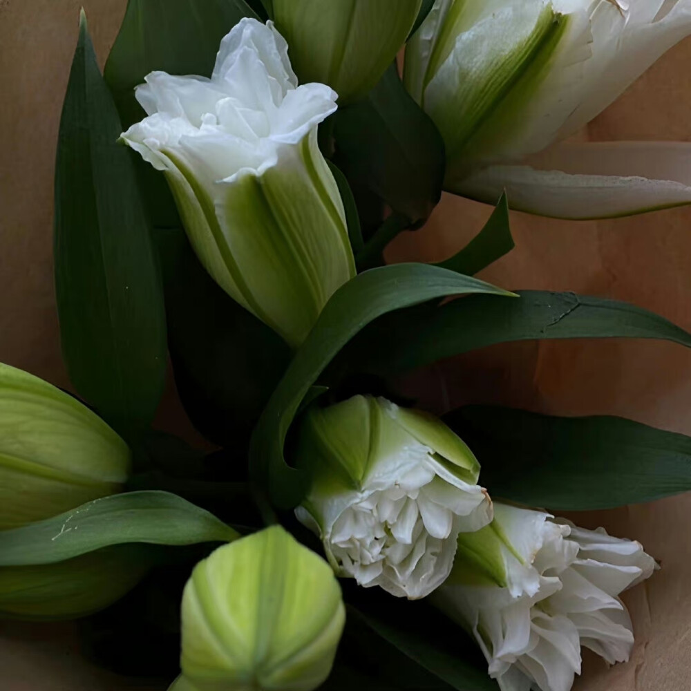 2022夏至美好如期而至情感文案,始于夏至止于永远文案