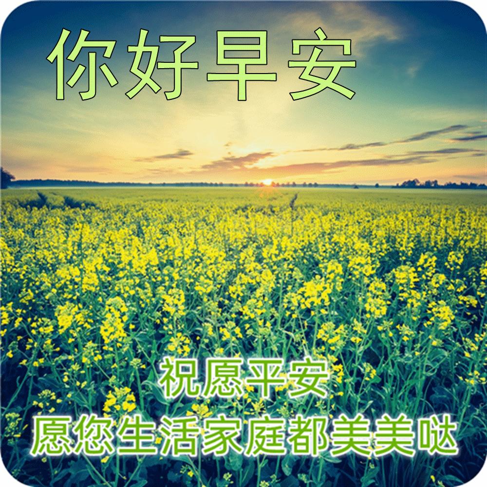 早上好最漂亮问候语动态表情图片,最美早安问候图片带字动态