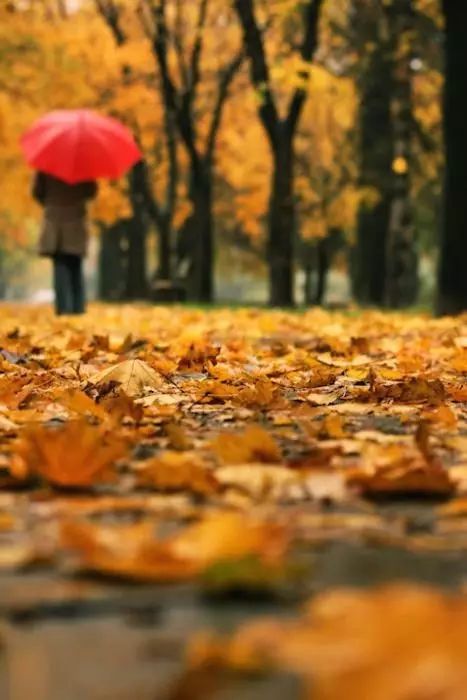 适合一个人安静的散文,散文寻一处心灵的静谧