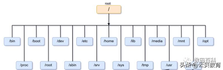 云贝教育|【技术文章】Linux目录结构与进程管理,新手必学