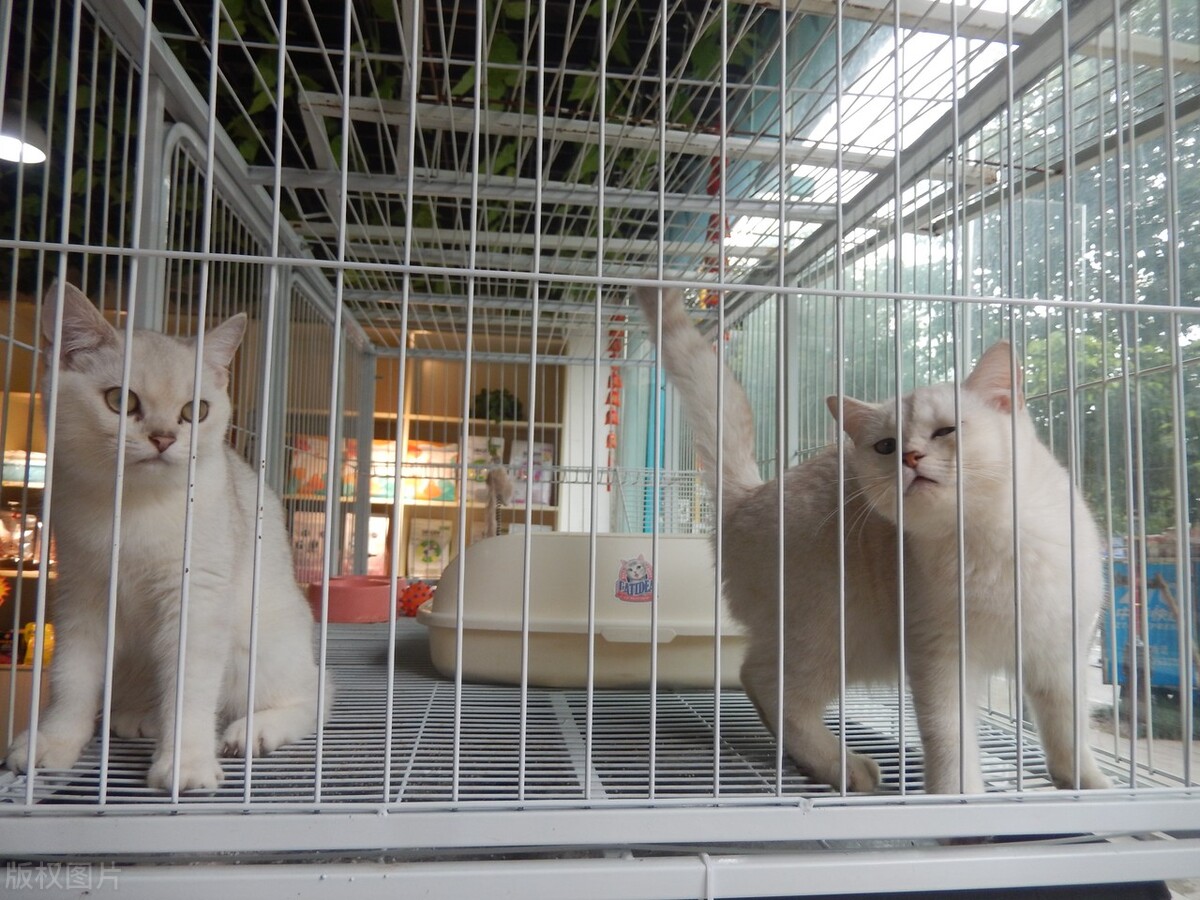 以后赚钱的小生意,以后适合女生干的生意