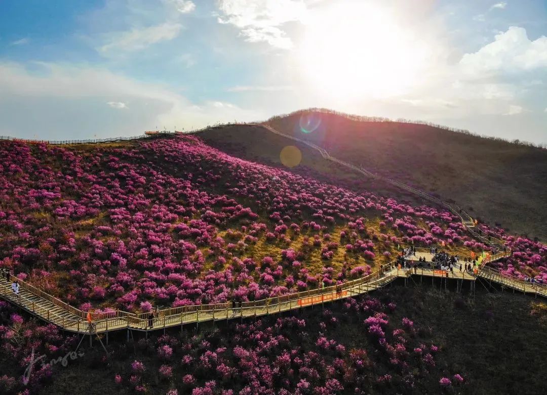 内蒙古冬季打卡景点,内蒙古美丽的草原网红打卡点