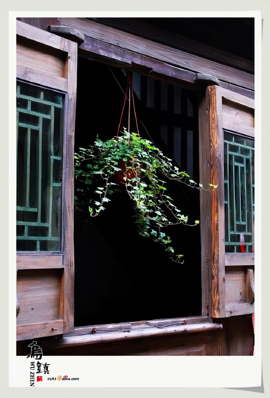 乌镇的似水年华酒吧,乌镇的似水年华在哪里