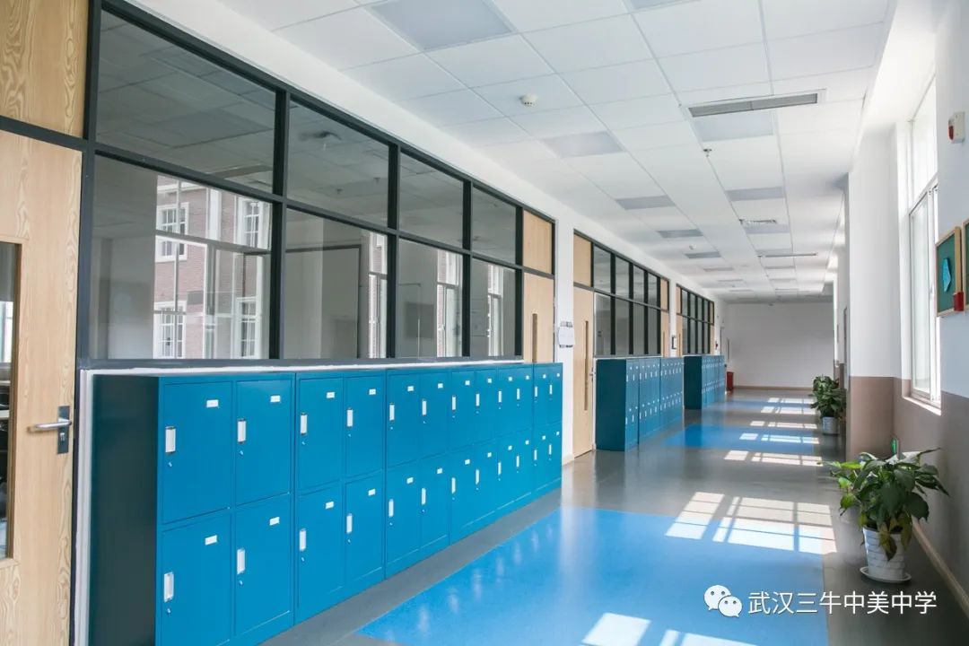 武汉三牛中美中学,武汉三牛中美中学排名及费用