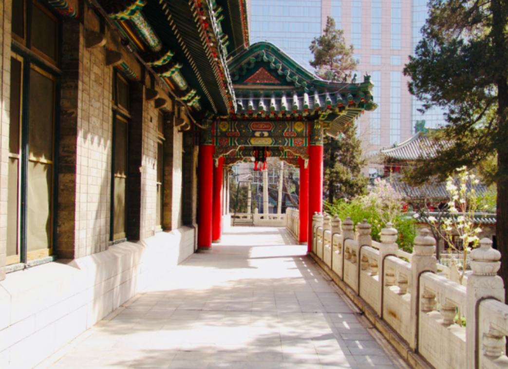 医学类中国协和医学院排名,北京协和医学院历年排名