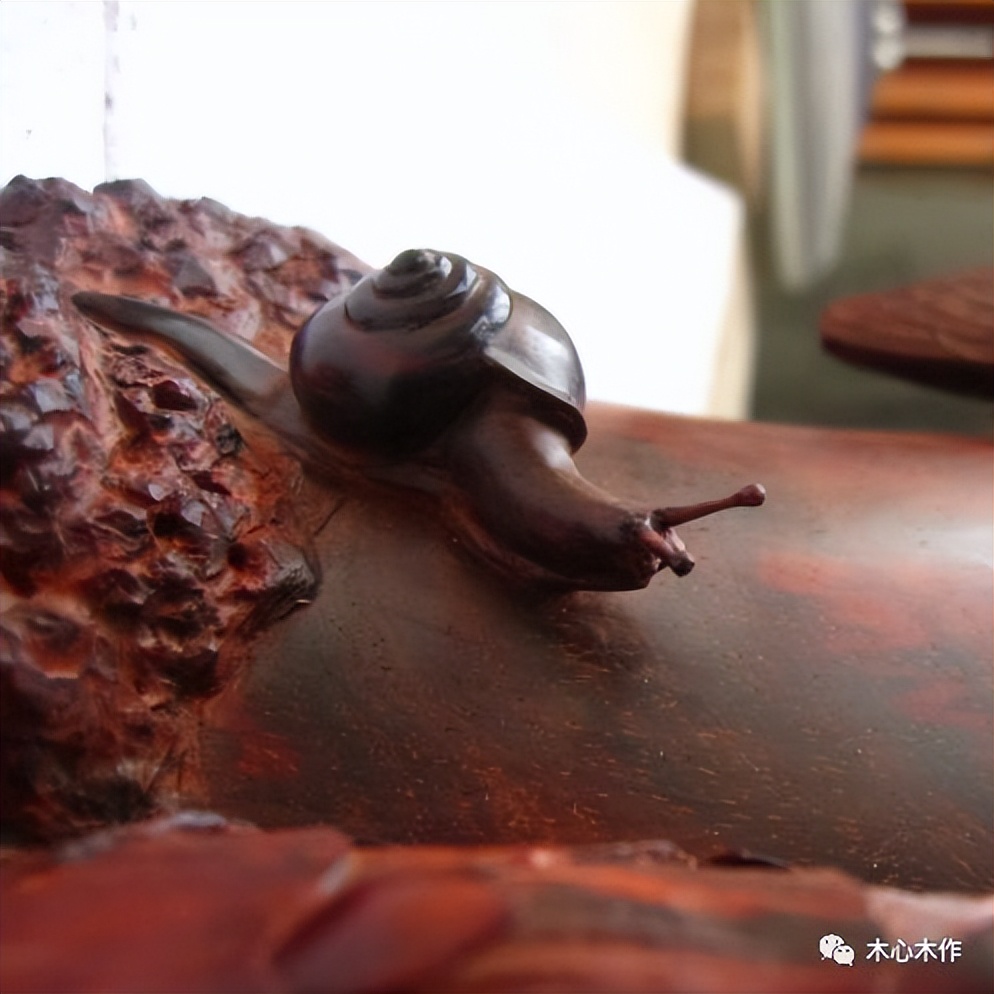 木雕蜗牛,木雕蜗牛的雕刻教程