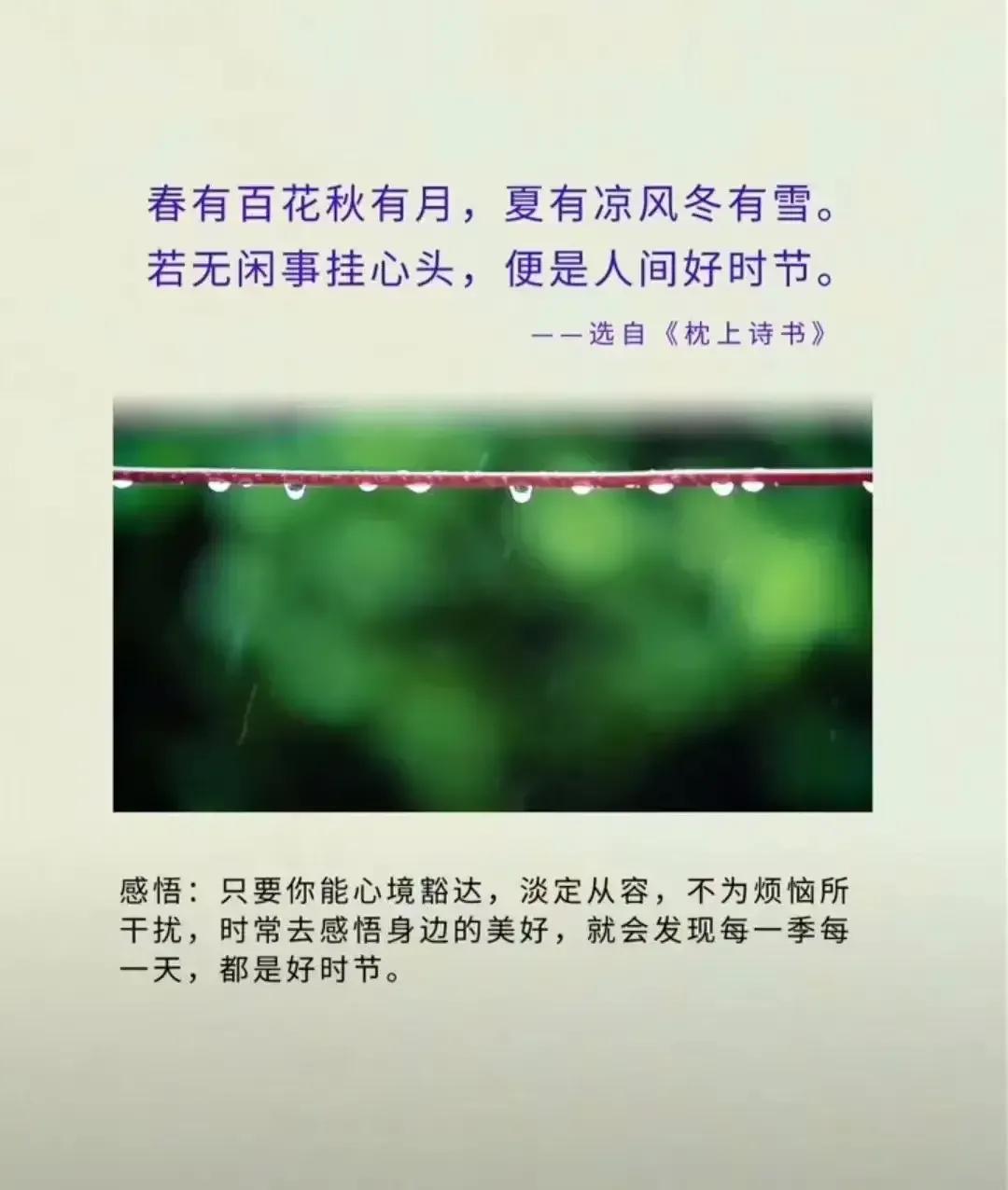 2023年农历是什么年癸卯年,2023年农历癸卯年是金兔年吗