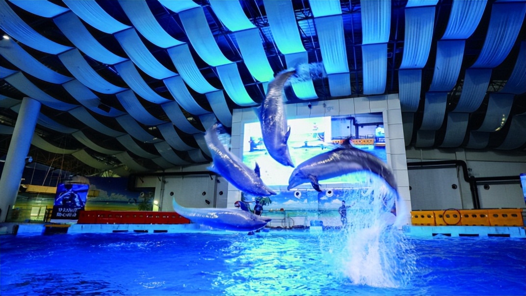 安徽省合肥市旅游景点路径图,合肥市庐江县金牛镇旅游景点