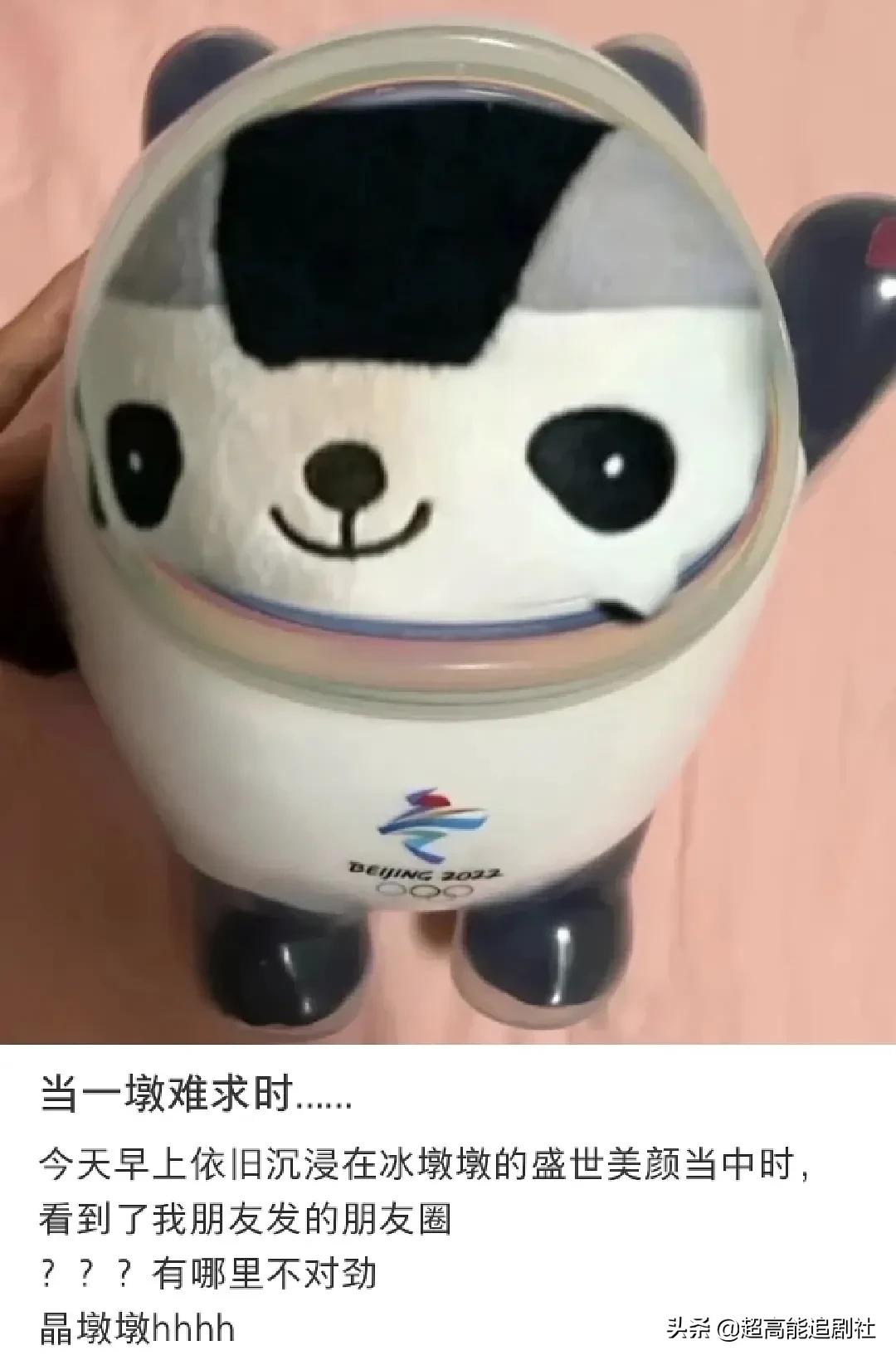 国民顶流，还得看这墩