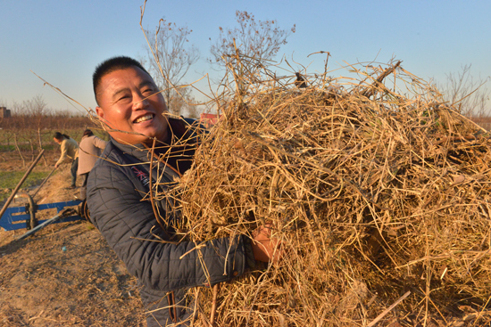 中牟生态田园,中牟县大孟镇2025年规划