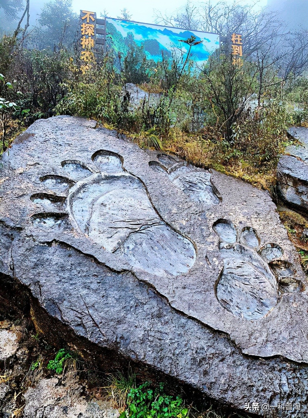 神农架野人真的曝光吗,神农架野人的真实存在吗