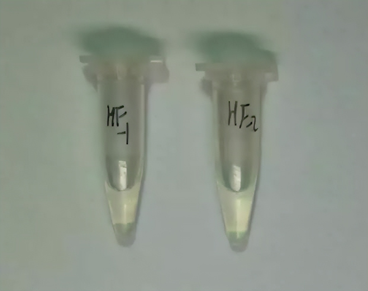 国家禁毒宣传标准,国家禁毒办禁毒教育视频