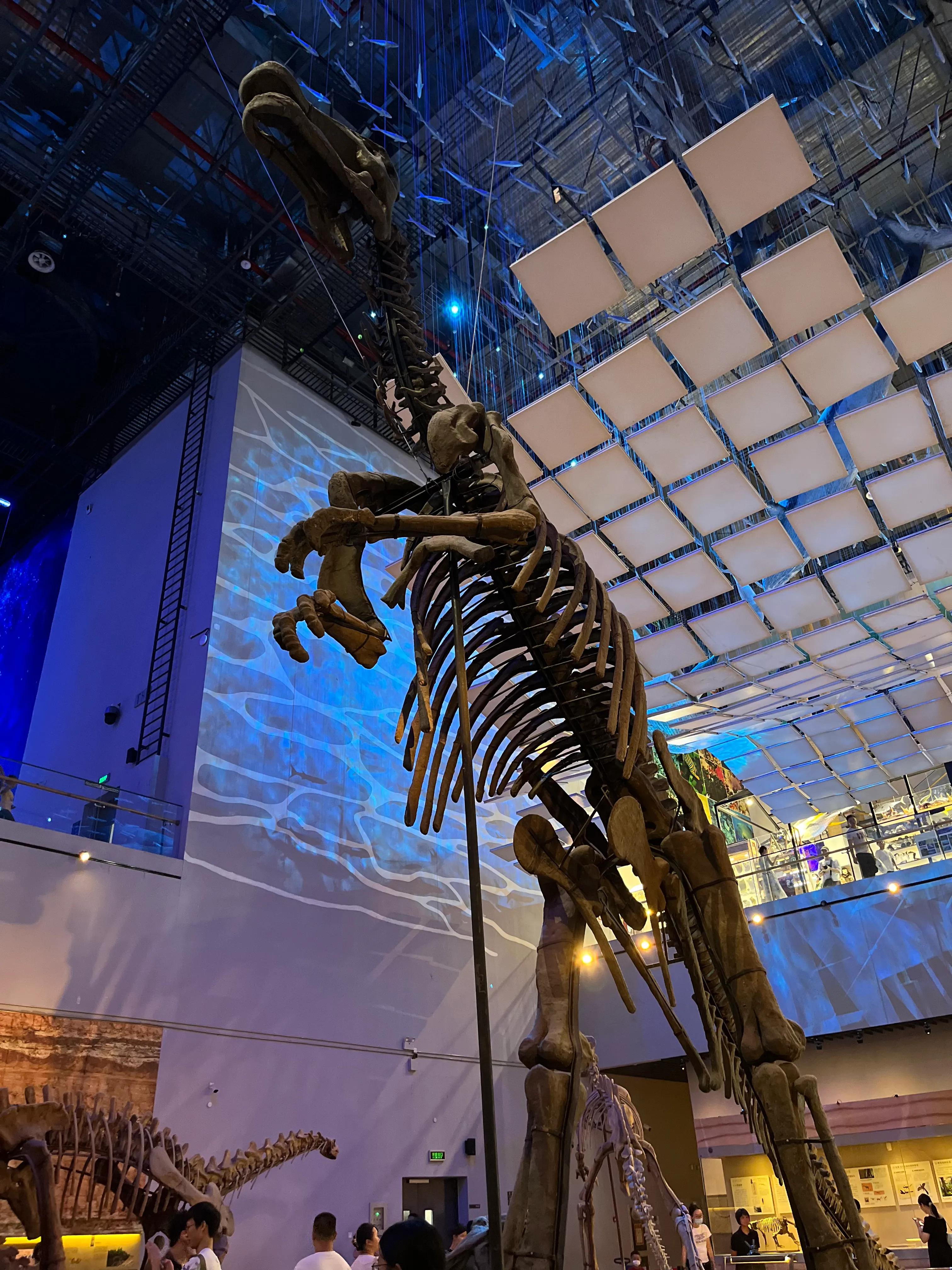 广州旅游攻略三日游必去十大景点,广州旅游必去景点旅游攻略