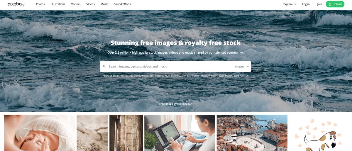 适合初学者的编程网站,软件开发实用网站推荐