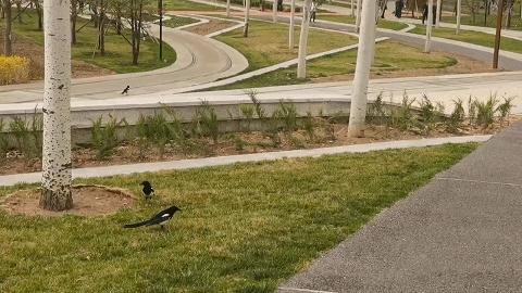 京张铁路遗址公园再添打卡地,京张遗址公园一期示意图