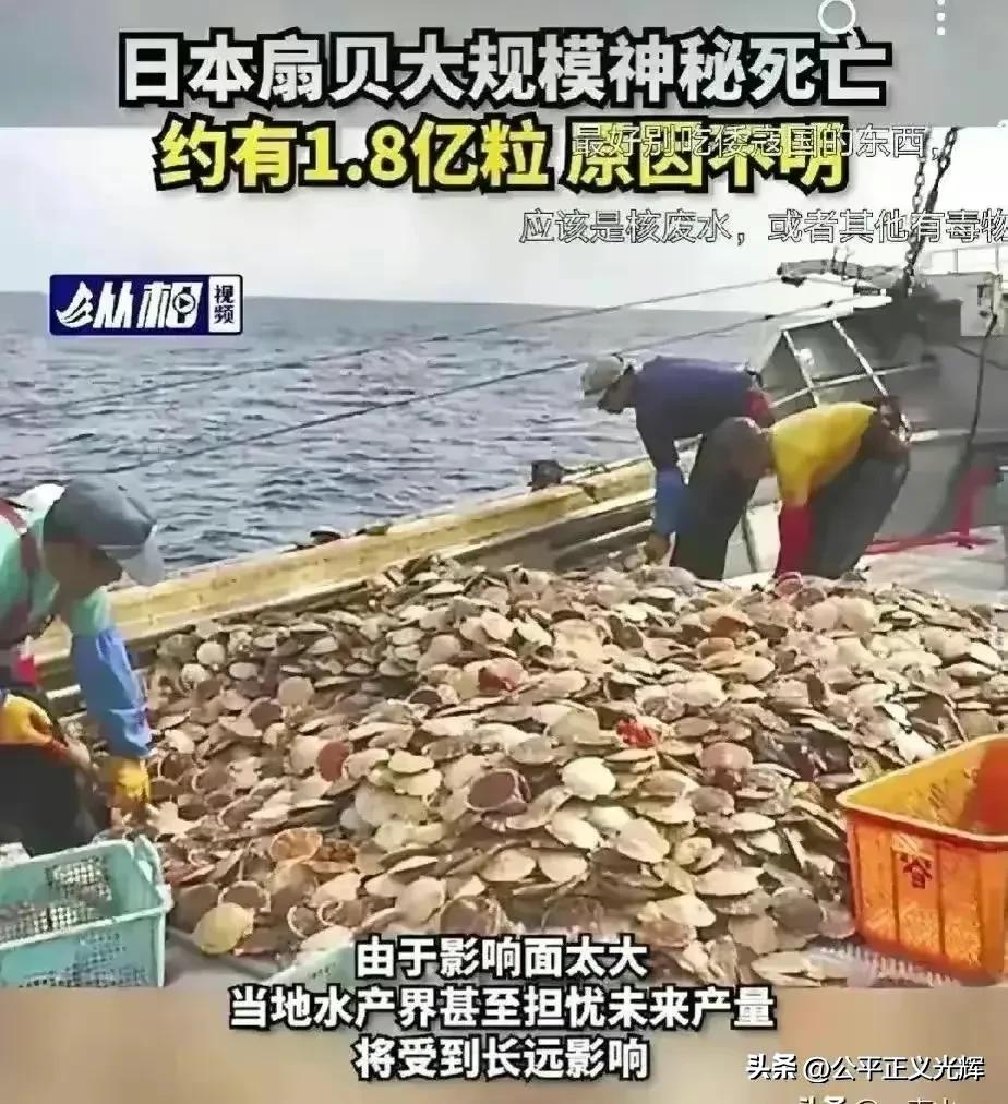 进口日本海鲜的是哪个公司,中国公司进口日本海鲜