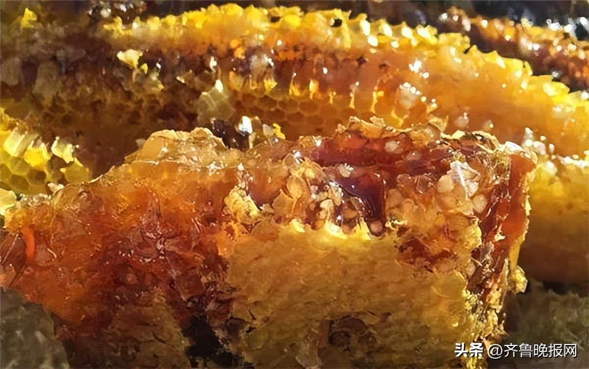 怎样才能买到正宗的土蜂蜜,怎么才能买到真正的土蜂蜜