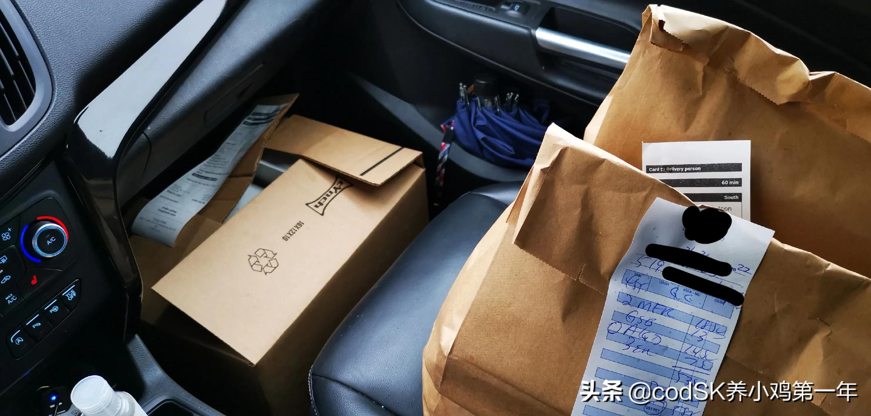 在加拿大送快餐赚钱吗,在国外送外卖真的工资那么高吗