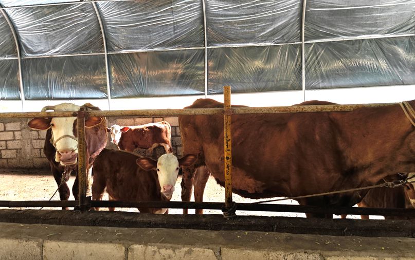 线下信贷放款需要15-20天吗,养殖贷100万多久能贷下来