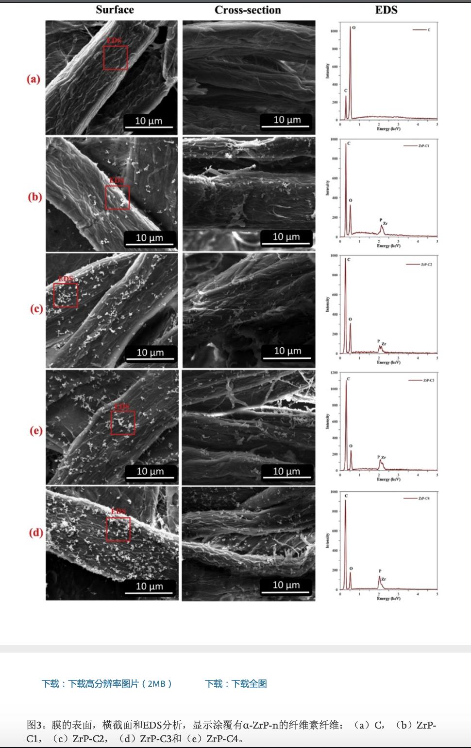 鍚堟垚闃寸瀛愪氦鎹㈣啘,鍚堟垚闃寸瀛愪氦鎹㈣啘瀹為獙杩囩▼