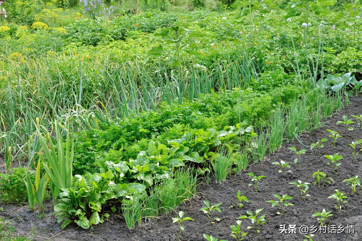 如果土壤没有蚯蚓有什么后果,土壤中蚯蚓越多越好是对吗