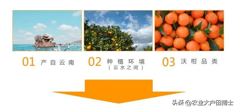 沃柑品牌策划核心竞争力如何提高,沃柑品牌推荐