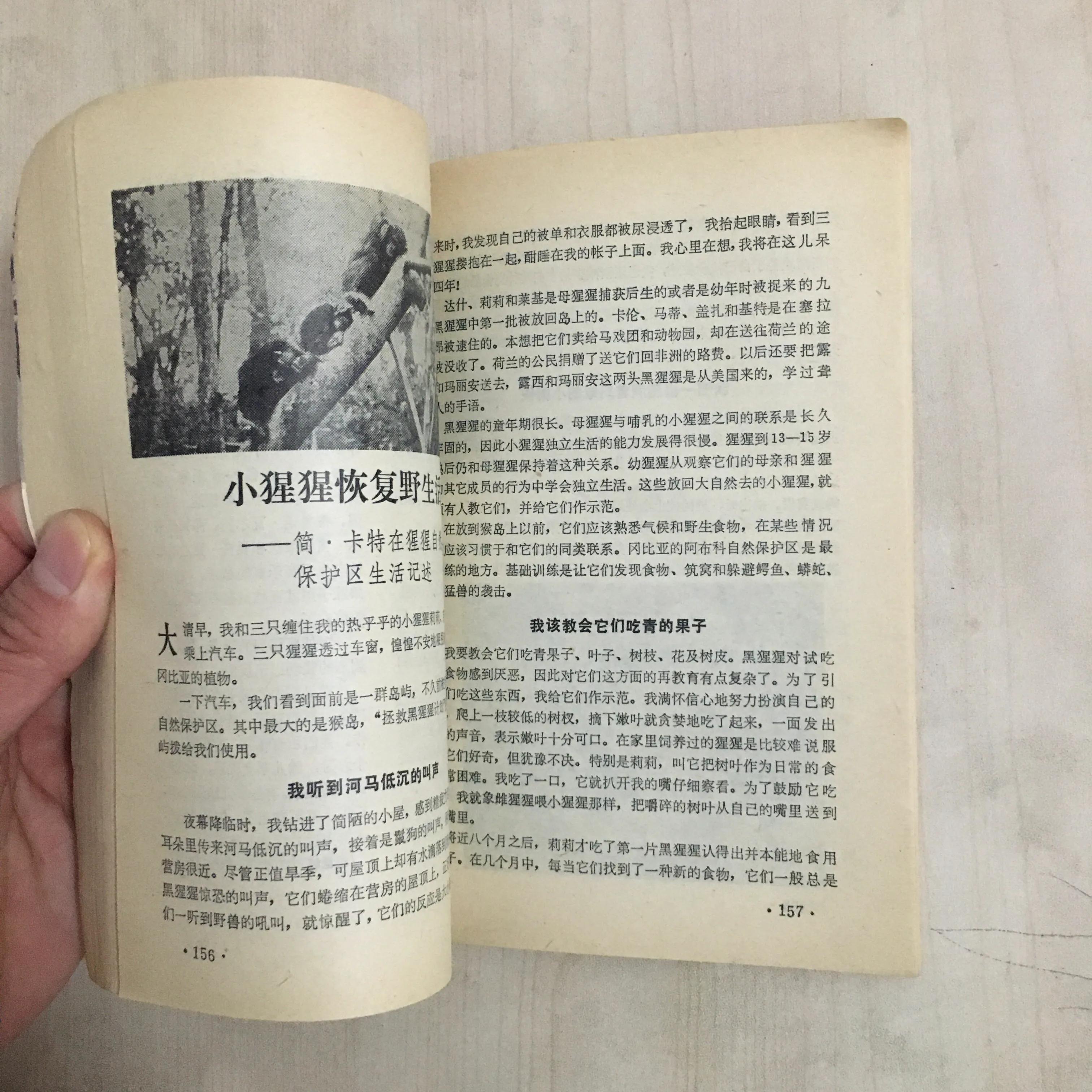 世界之窗杂志还有吗,世界之窗这本杂志还有吗