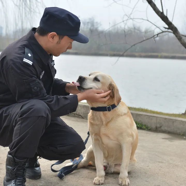 江苏省唯一一名警犬工作岗位硕士研究生与他爱犬“小虎”的故事