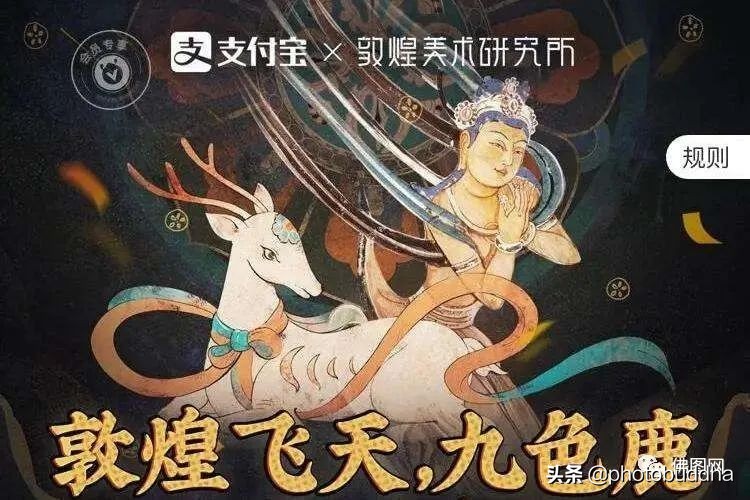 最近很火爆的佛系视频,最近很火的佛系生物