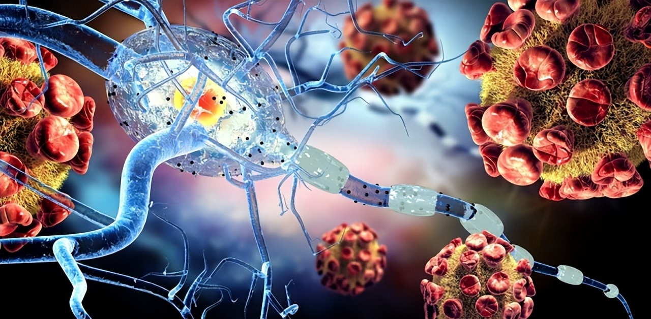 大专生想用游戏治疗癌症，凭借梦想苦苦支撑，此方法终将成为现实