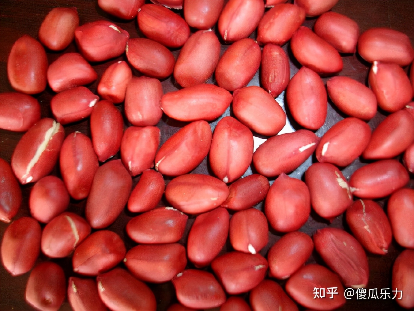 我所知道的锦西（葫芦岛）十一中