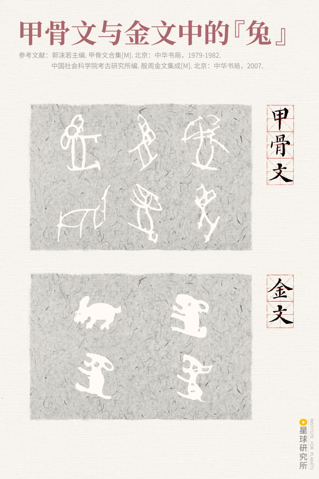 兔年来了,兔年来了怎么样