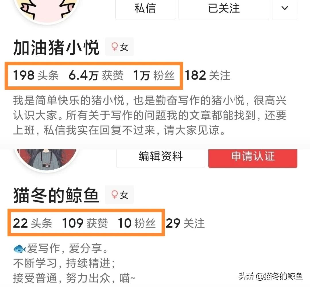 猪小悦为什么不更新了,猪小悦的头条号