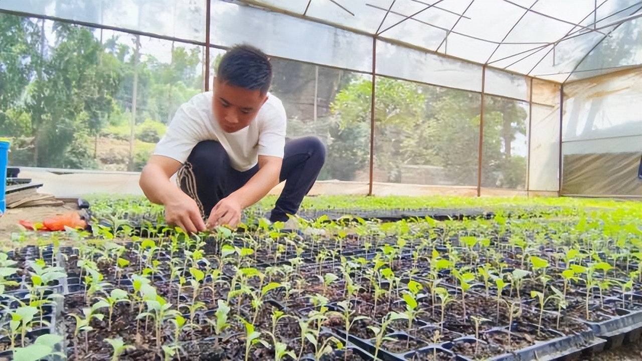 返乡创业新农人90后,创业90后新农人