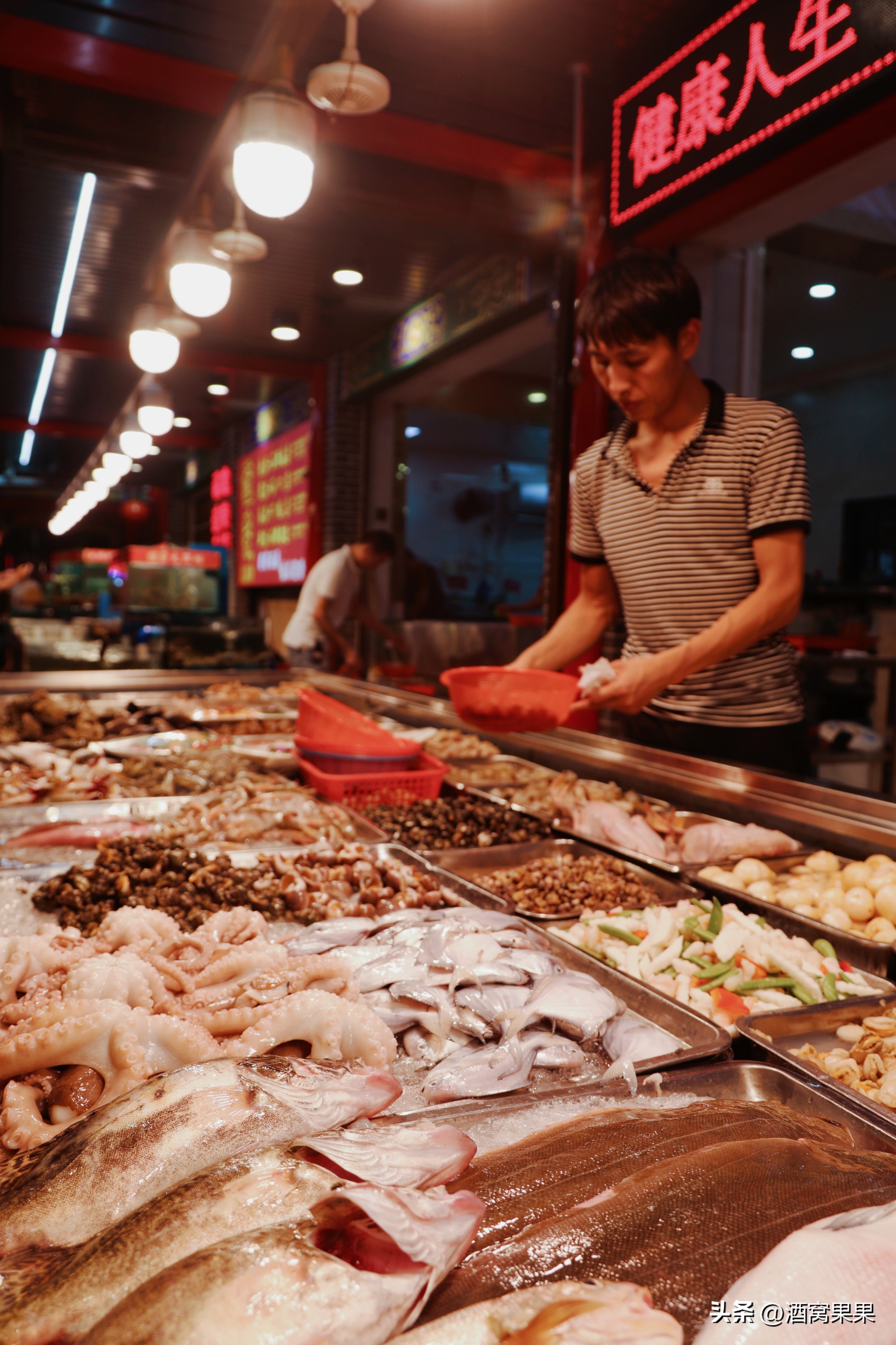 福鼎两天一夜旅游攻略,福鼎茶漫步茶园体验采茶之旅