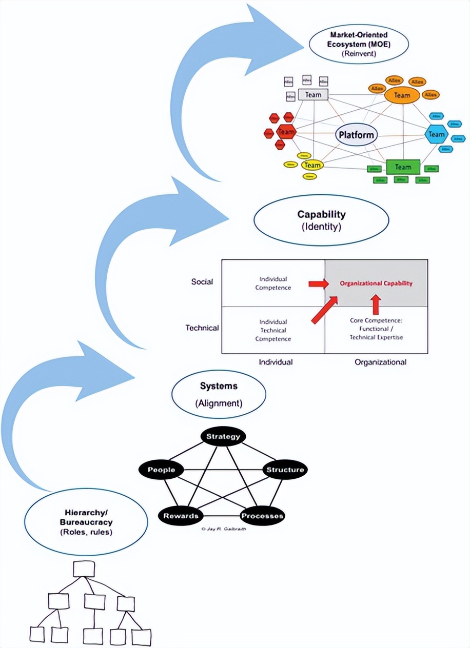 蔡崇信如何兼顾篮球和阿里巴巴,蔡崇信重回阿里负责几大业务线