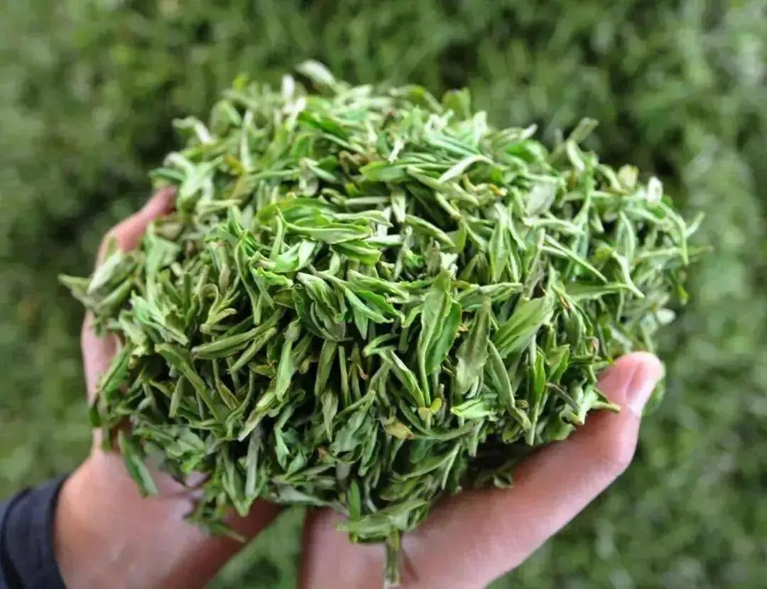 绿茶种类大全介绍,高档龙井绿茶有哪些种类