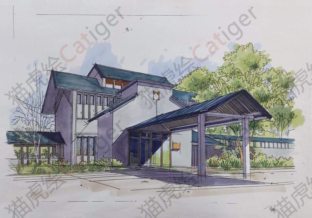 猫虎画,猫虎绘画