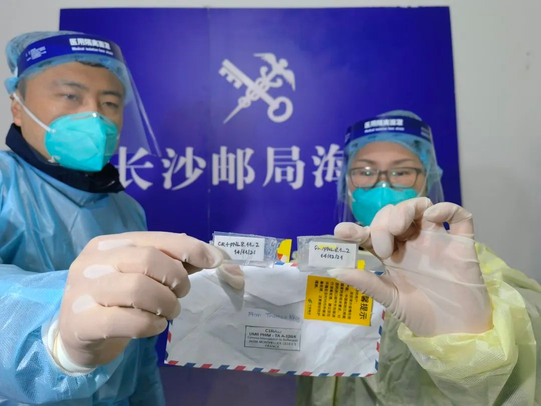 湖南海关查获稻瘟病真菌,长沙海关截获水稻致病菌收件人