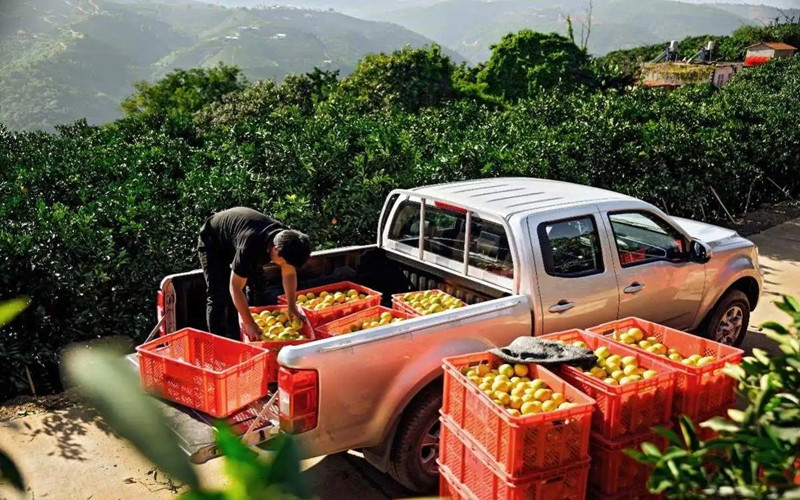 农村现在最适合做什么生意见效,农村非常赚钱的六个小本生意