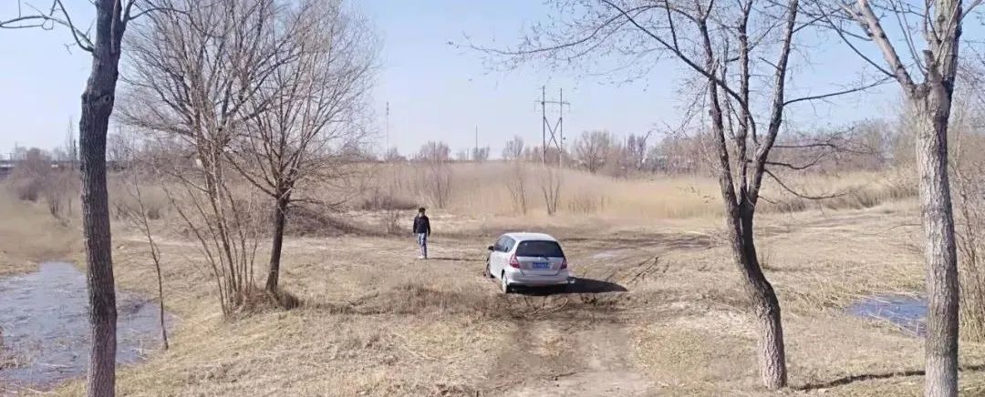 原创|2022迟到的春天之约