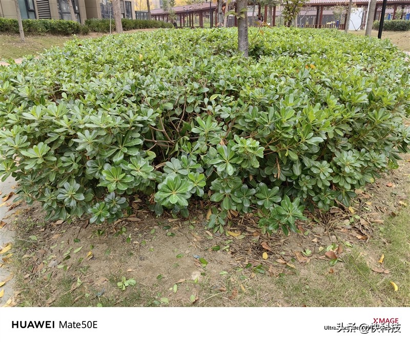 华为mate50e跟mate50值得购买吗,华为mate50e和mate50哪个值得买