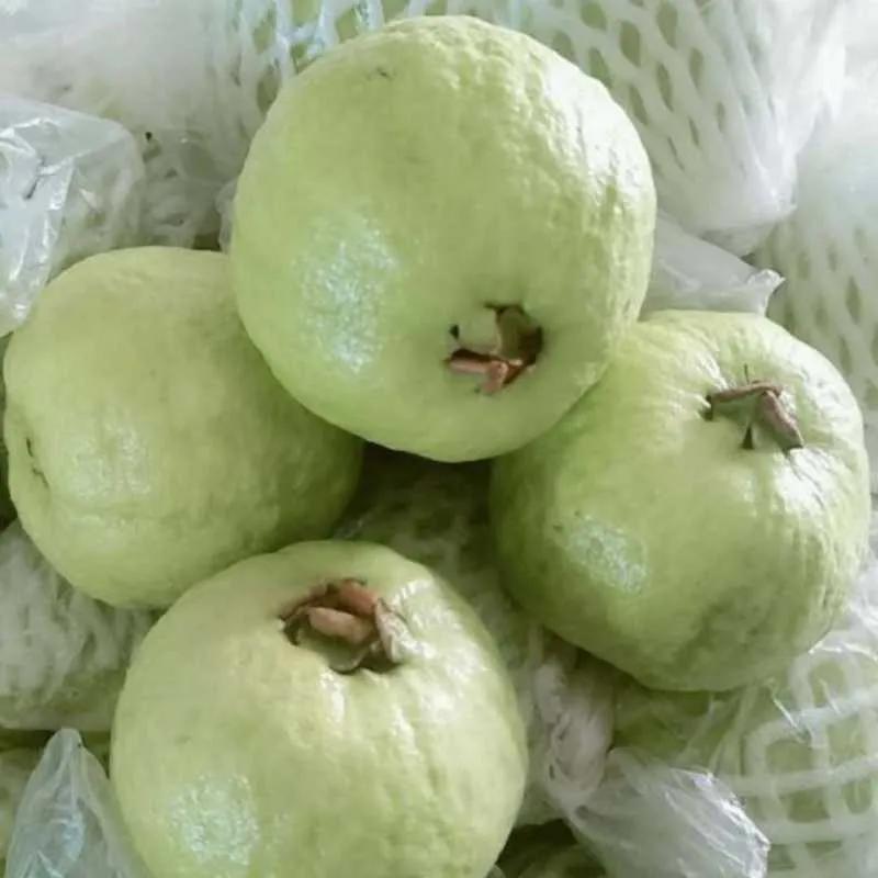 含叶酸多的食物和水果蔬菜,什么蔬菜和水果含叶酸高