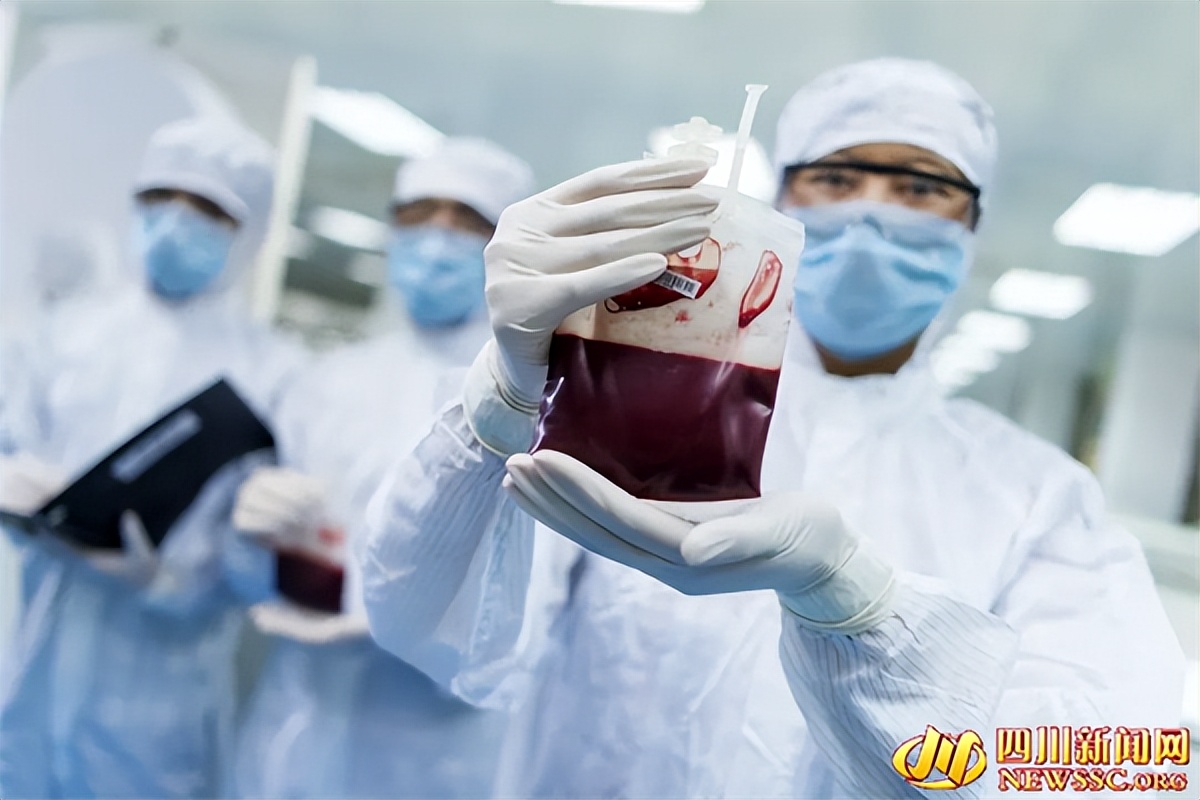 脐带血治疗血液病案例,脐带血治疗新突破