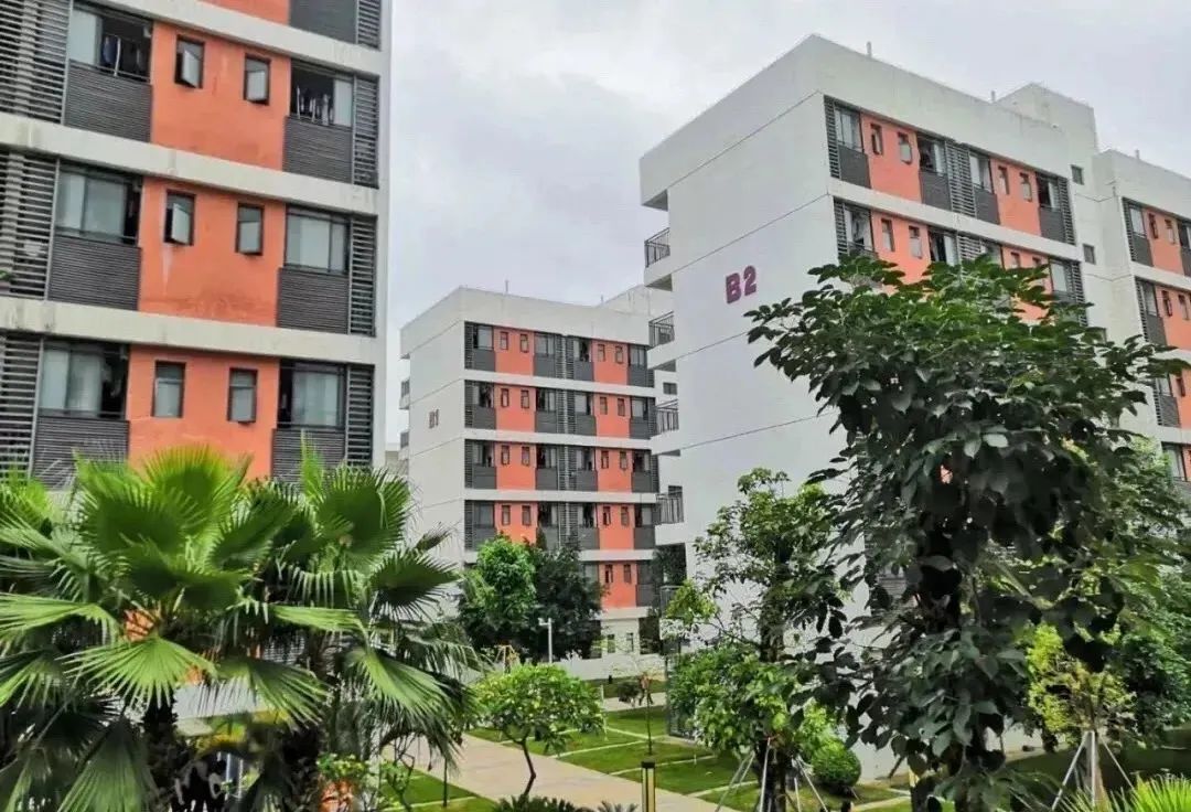 华中师大龙岗附中历任校长,华师附中深圳龙岗校区校长